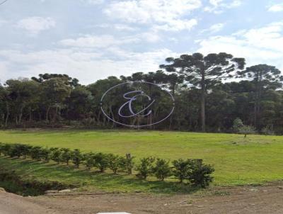 S�tio para Venda, em Campo Alegre, bairro Salto, 2 dormit�rios, 1 banheiro